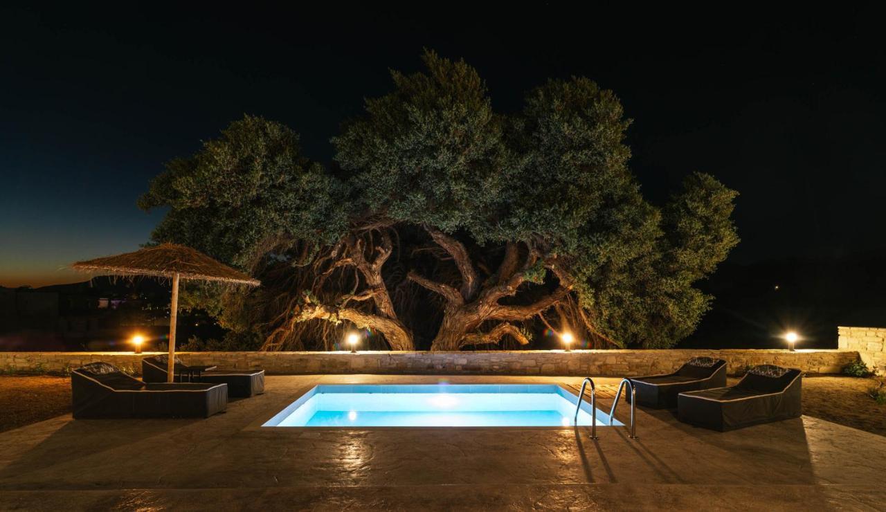 Villa Kedros Katikies Kalamaki  Exterior foto